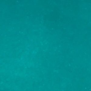 Meet your Posher, Sabrina